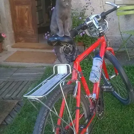 Col Del Vin בלונו