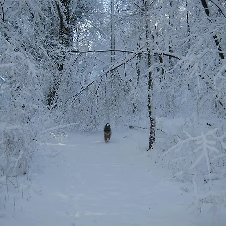 Bed & Breakfast Col Del Vin Belluno