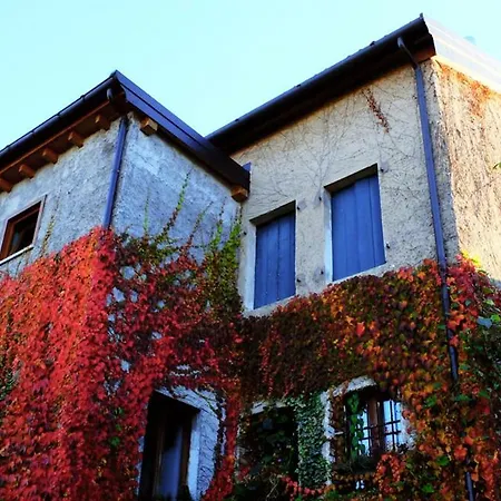 Col Del Vin Bed & Breakfast