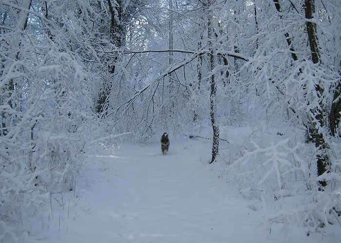 Oda ve Kahvaltı Col Del Vin Belluno